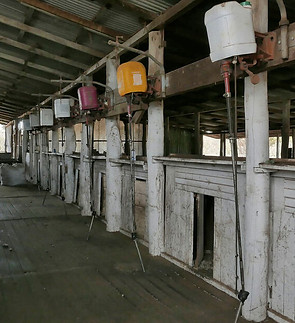 00-cowcher-shed-5_orig.jpg