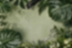 ChatGPT Image Jun 26, 2026, 11_45_21 AM_edited.jpg