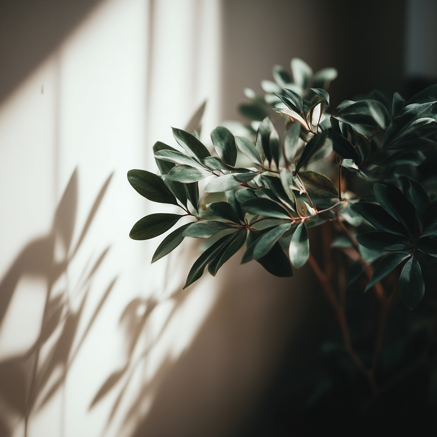 _arastoo_a_plant_warm_lighting_white_room_background_shallow_de_7d07ae28-296e-4271-80a0-9e
