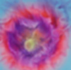 red hot poppy