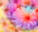 summer haze 5 15 3 24