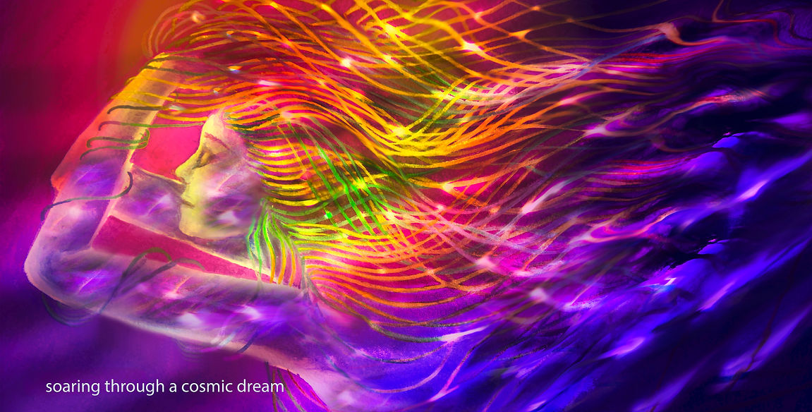 soaring through a dream 25 2 25 copy 2.jpg