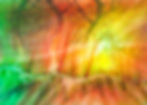 summer woodland dances to the sun spirit 5