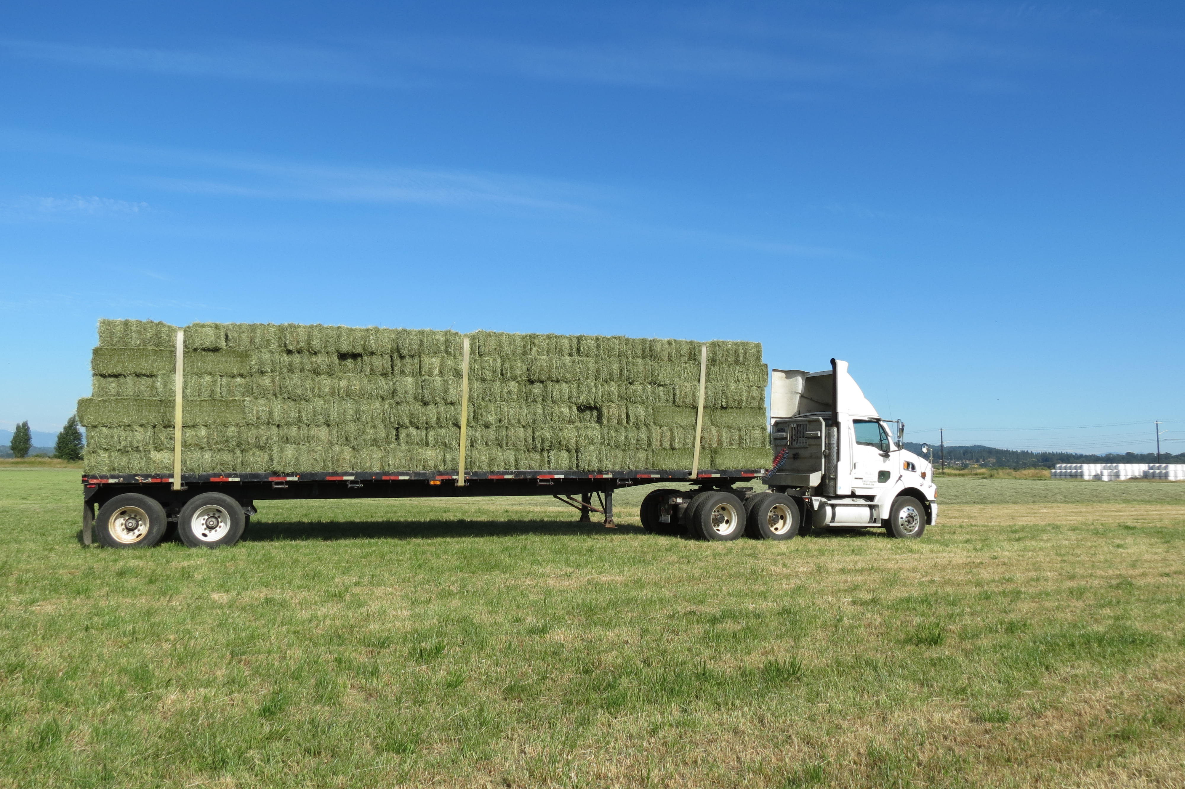 Haylage BalesBeefPork WA 98290 SnoValley Farms Inc.