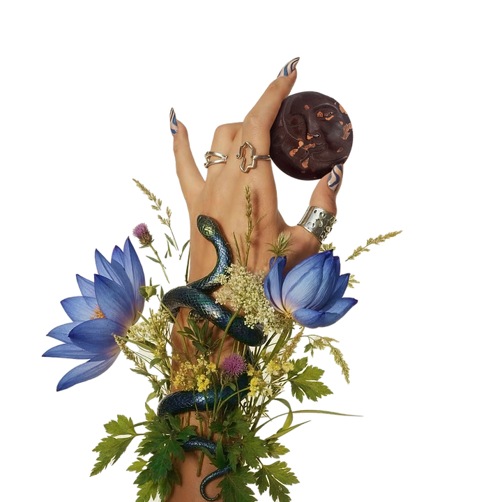 transmission de dose manuelle.png
