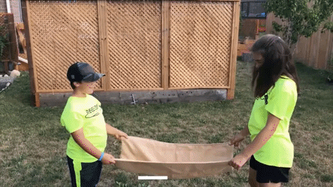teambuilding-games-for-kids