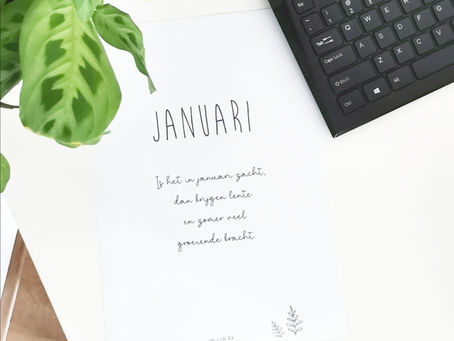 A4 maand poster Januari