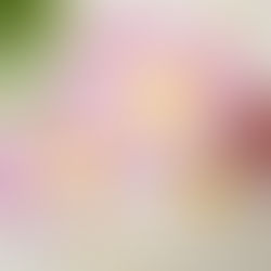 Have an eggcellent day/easter