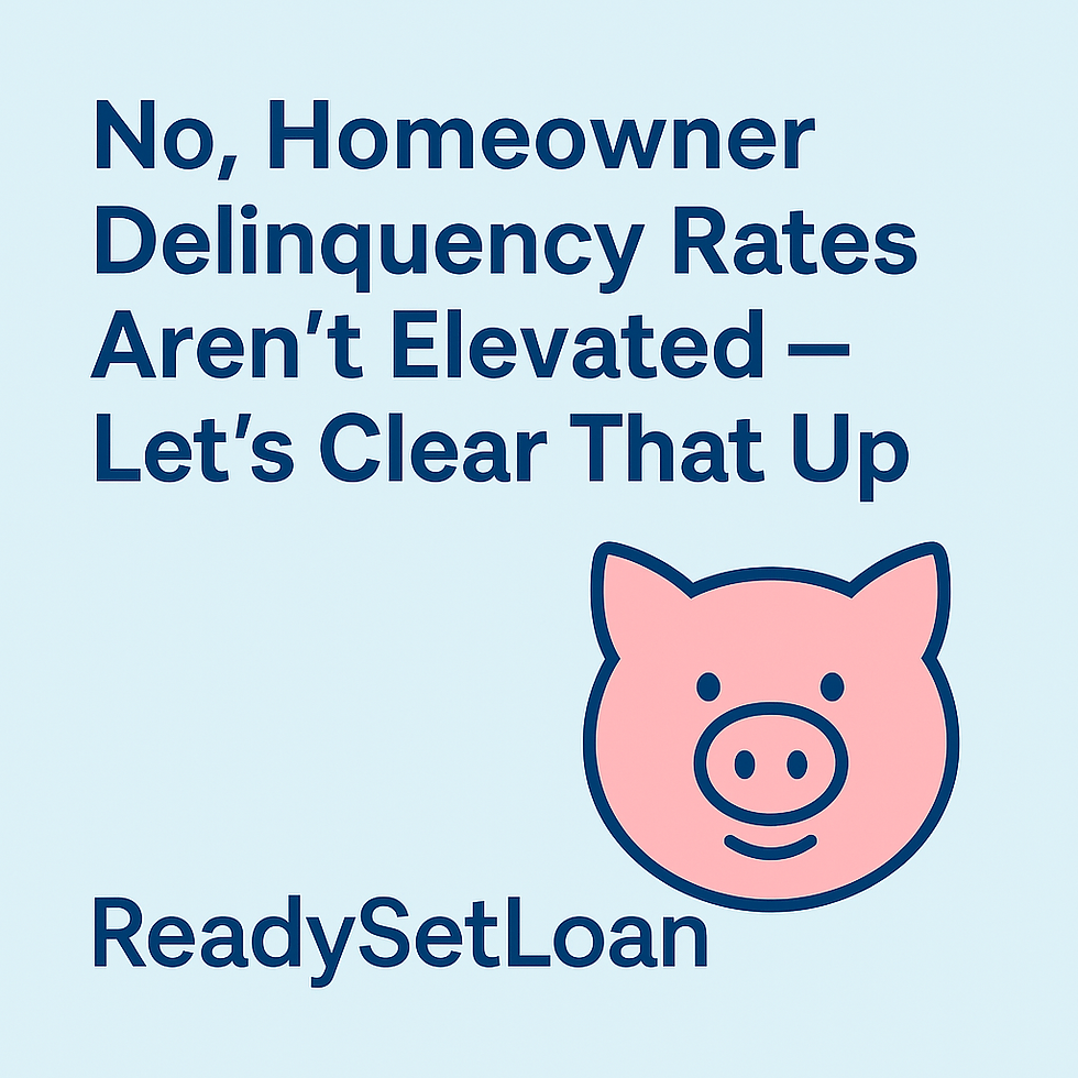 Text: "No, Homeowner Delinquency Rates Aren’t Elevated — Let’s Clear That Up" with a pink pig illustration. Background: light blue. www.readysetloan.com