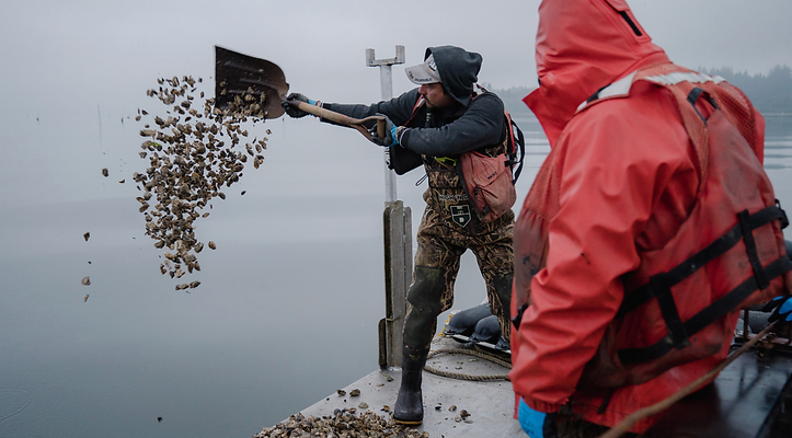 Screenshot 2026-01-19 at 3.03.05 PM.png