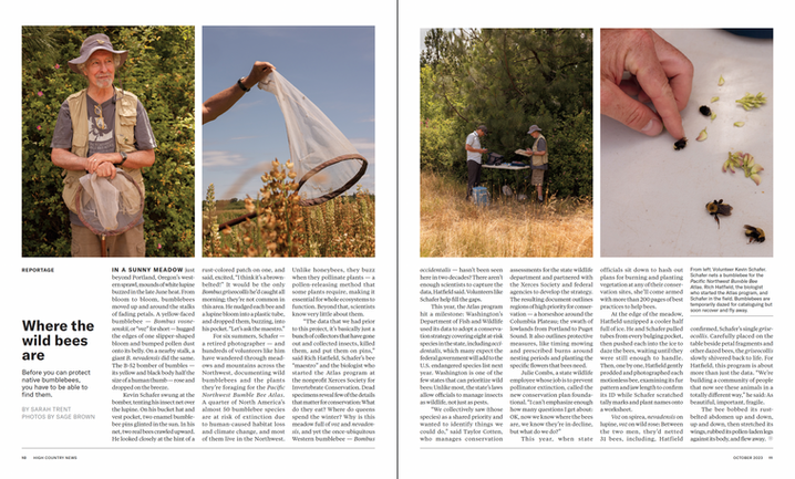 Screenshot 2026-01-10 at 7.46.23 PM.png