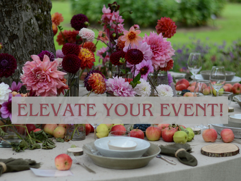 How a Unique Dinner Party Theme Will Wow Your Guests! #amazonfinds