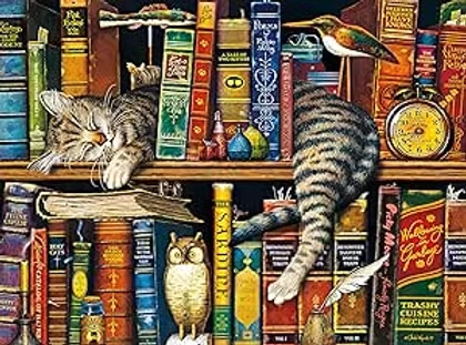 Two cats lounge on a colorful bookshelf with books, an owl, a bird and a clock, creating a cozy, whimsical scene.