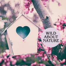 Top 10 Gifts For the Nature Lover! 