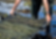 Untitled design (17).png