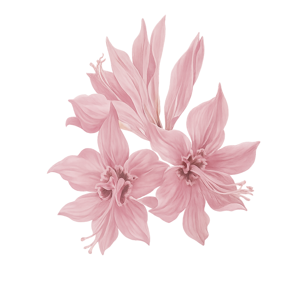 Pink flower.png