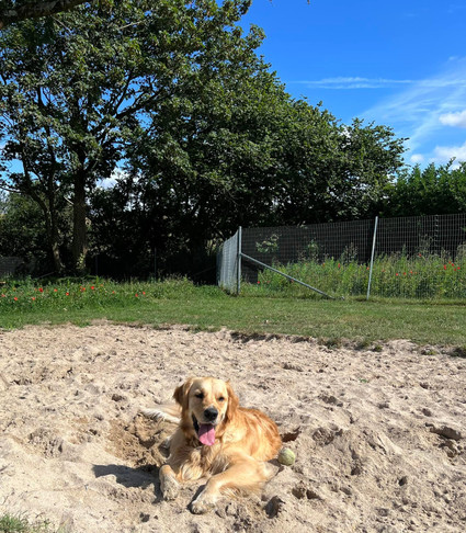 emma addlington sandpit MM.jpg