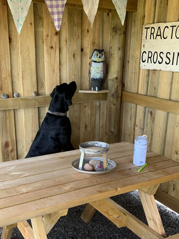 Hugo - Sarah love MM.jpg