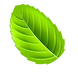 mint_leave.png