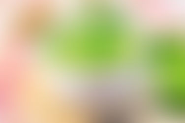 MISO MODIFIED BEILER'S BROTH