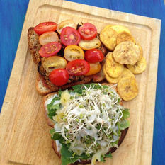 Vegan Complete Protein Sandwiches