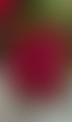 De la 78 la 3,3- From 78 to 3.3