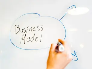 Start-ups and Social Innovation: Business Models for a Sustainable Future