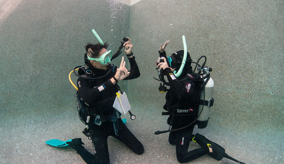 PADI instructor and student practicing scuba skills in the pool during a private Open Water course in Cabo San Lucas