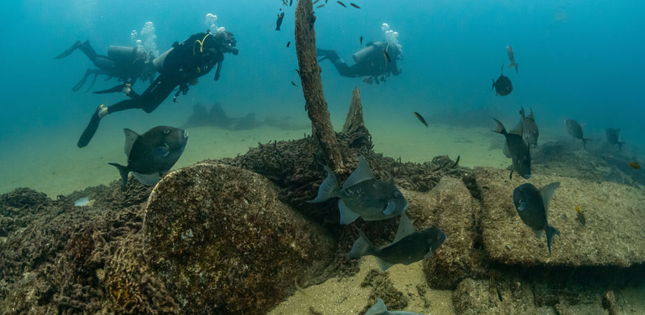 An underwater photographer and scuba diver hovering over the reef on a Cabo Pulmo diving expedition.