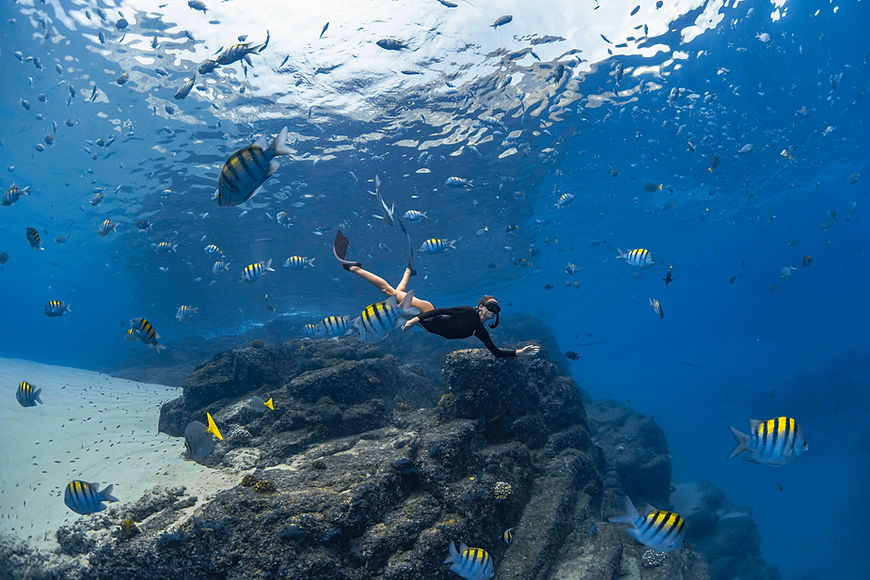Cabo tours with Breathe Out Baja — local marine adventures from the marina