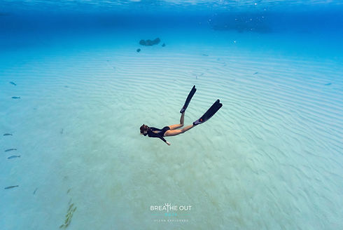 Snorkeler exploring the vibrant coral reef at Pelican Rock in Cabo San Lucas, surrounded by schools of tropical fish