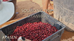 Le Myanmar, une origine qui refuse d'abandonner