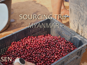 Le Myanmar, une origine qui refuse d'abandonner