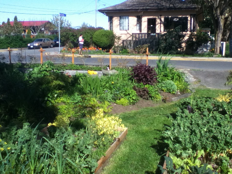 2013-04-23 16.31.15.jpg