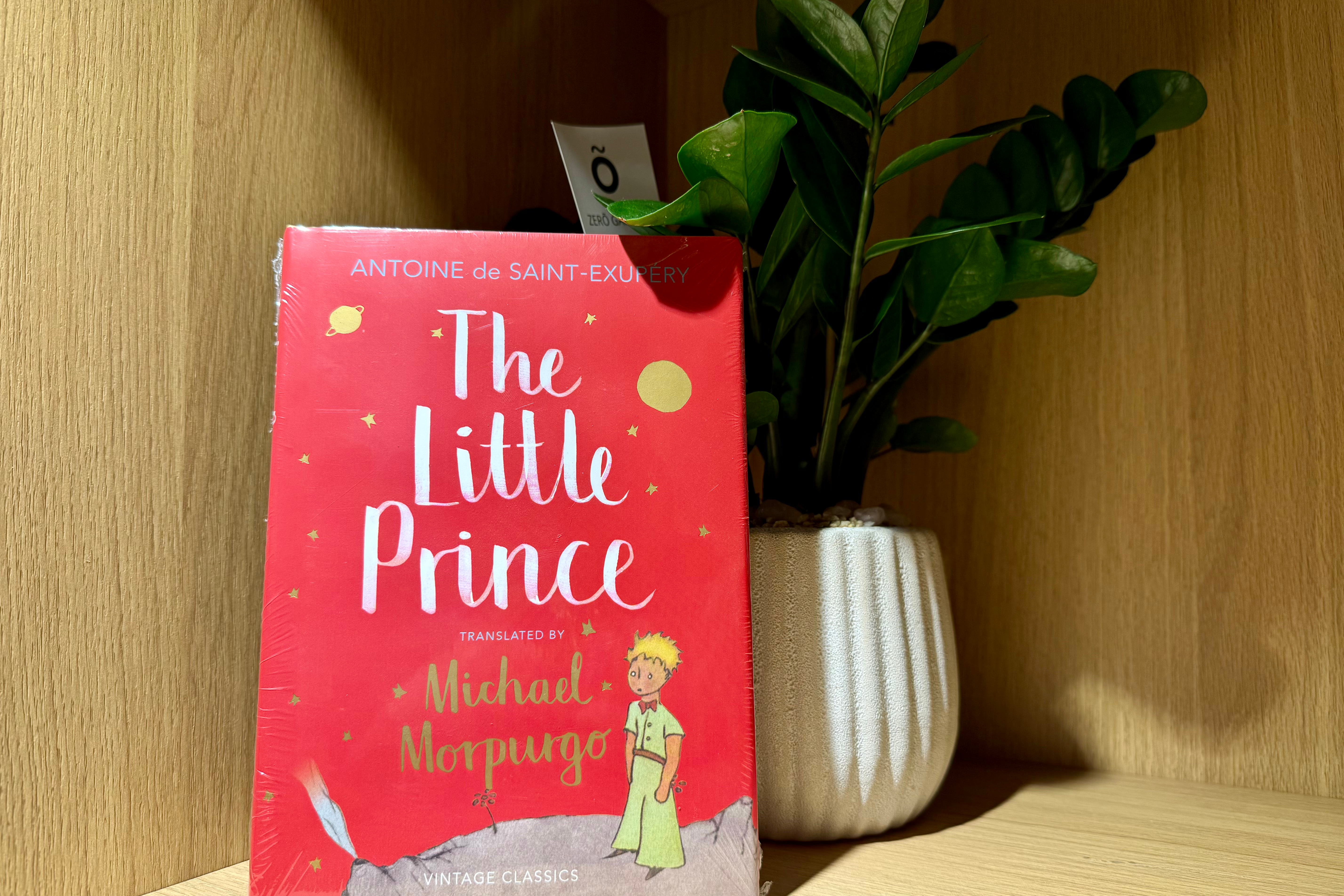 The Little Prince and the questions that remain