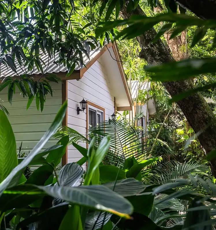 villas honduras.webp