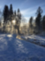 Vinteren 2026 - onlineyoga & Videotek