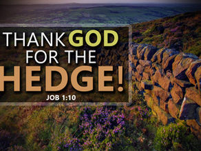 “The Hedge has been removed.” - Author and Writer Ronald Nelson