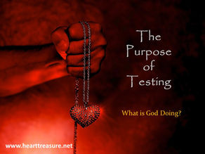 “A Time of Testing” - Author Ron Nelson