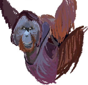orangu