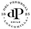 Viña_del_Pedregal_VINOS_LATINOS.jpg