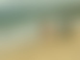 Ady & Nathan's Beach Engagement Session