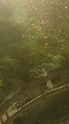 Couple standing on bridge
