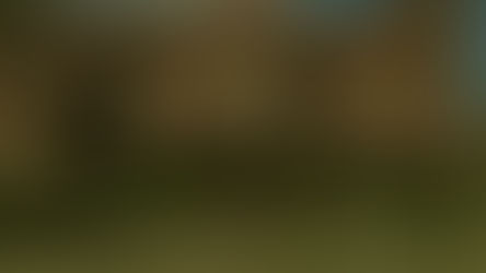 Mansion with couple running