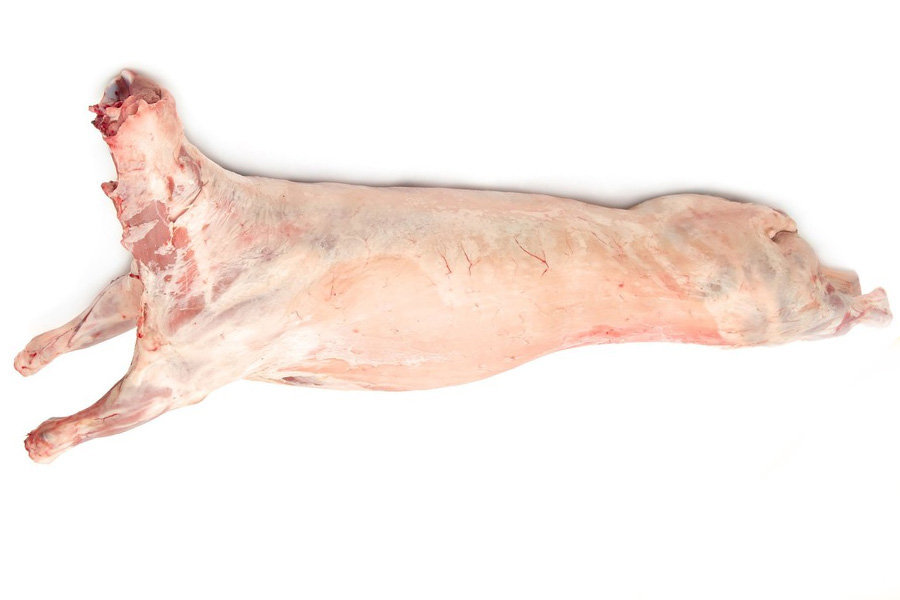 Lamb Carcase New Zealand