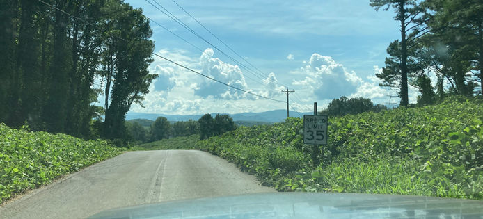 heading back to town.jpg