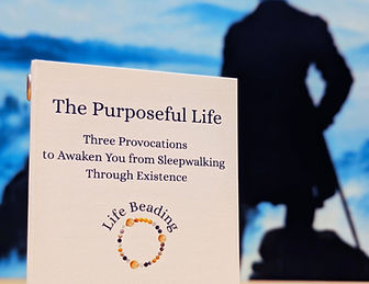 front cover of Purposeful life kit