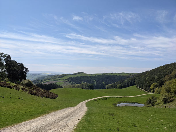 Open Shropshire countryside view with green fields, woods and blue skies