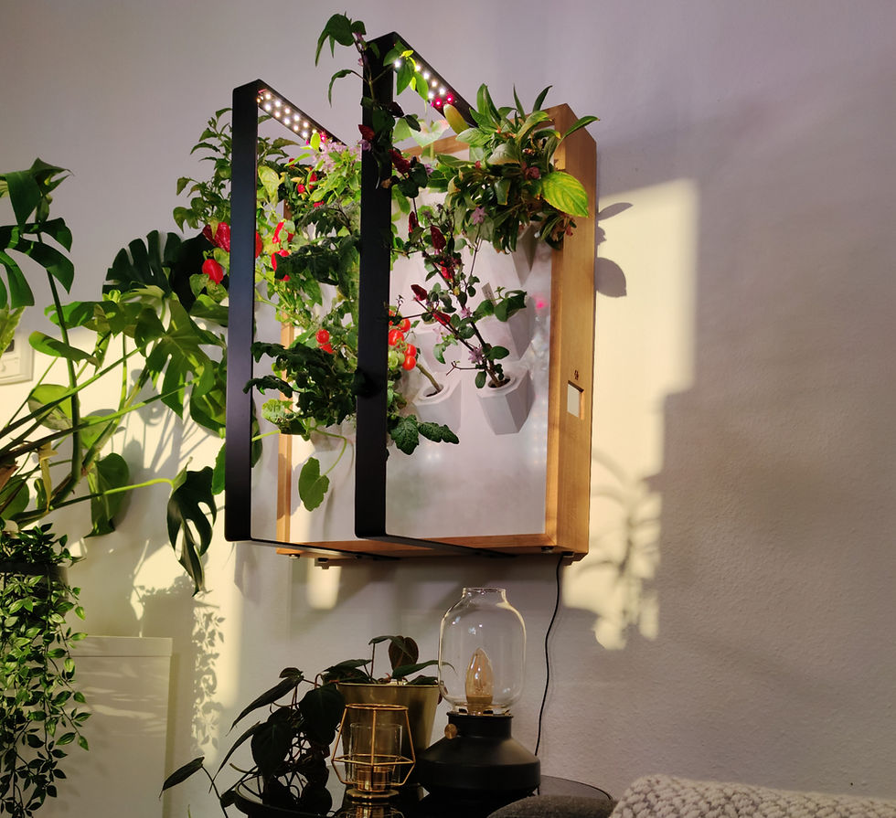 Myriad Indoor Garten