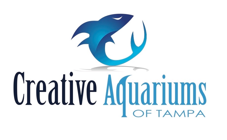 Creative Aquariums Of Tampa